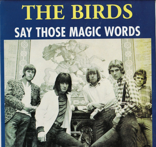 THE BIRDS Say Those Magic Words VINYL LP 60s GARAGE R&B FREAKBEAT Rolling Stones