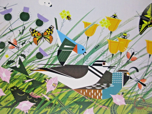 Notecard with Envelope - Charley Harper Art - Once There Was a Field - Picture 2 of 3