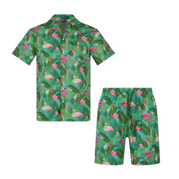 Flamingo Fever