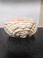 Sylvac Vintage Cream Shell Art Vase