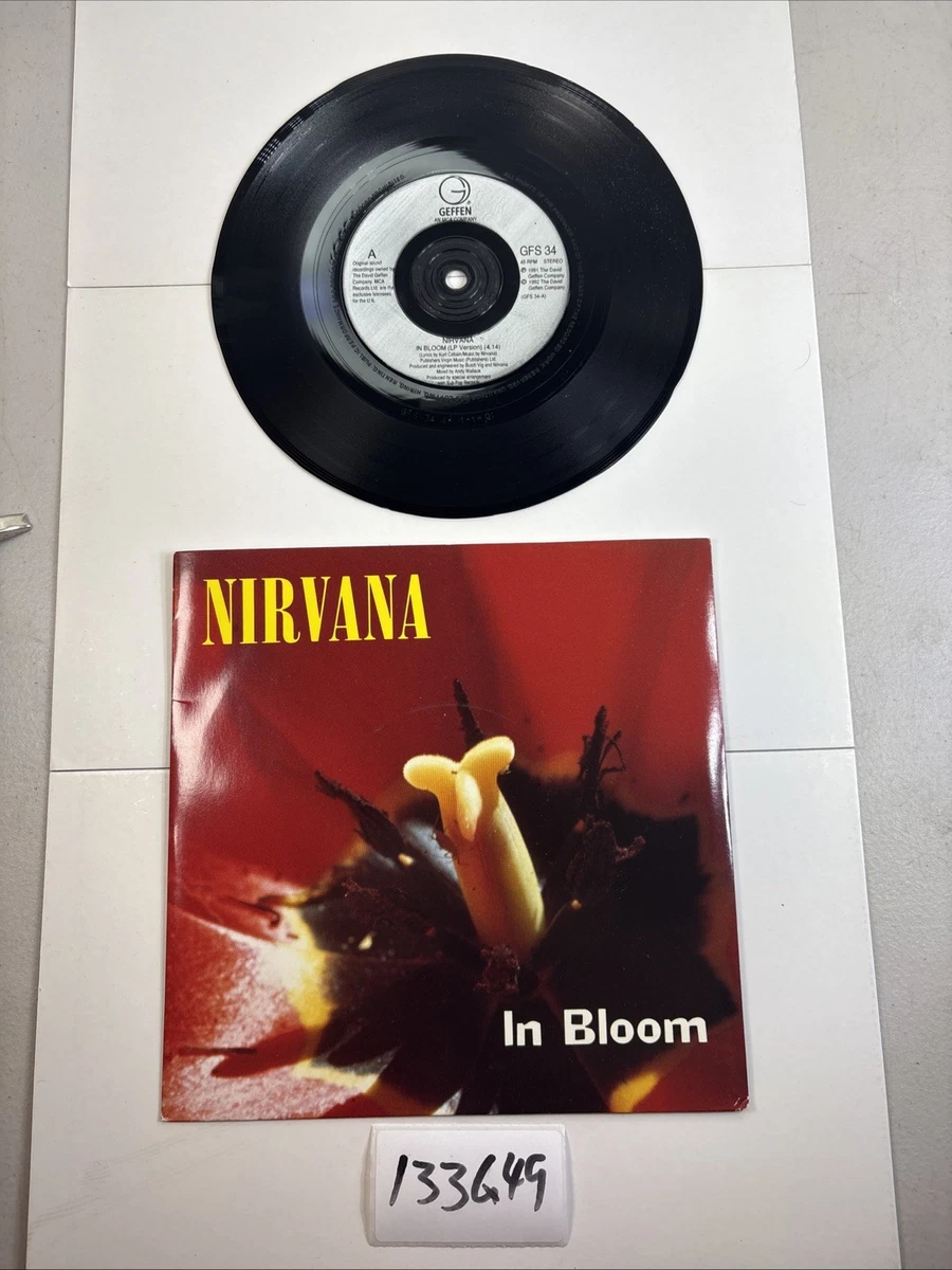 Preços baixos em Nirvana muito bom (Muito bom estado) Discos de
