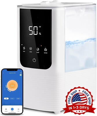 Portable Humidifier Living Room Office Yoga Humidificador Portátil Pequeño Large