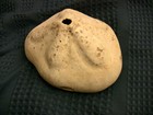 Picture 2 of 5