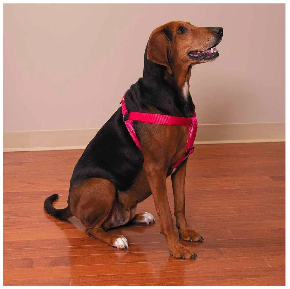Dog Harness Easy to Use 2 Step Secure Safe Comfortable Firm No Struggle Control