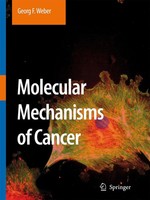 Georg F. Weber | Molecular Mechanisms Of Cancer | Taschenbuch | Englisch (2010)