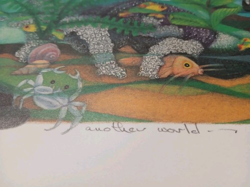 J.S. Perry Jamie Perry "Another World" Limited Art Print Artist Proof 4/80 - Picture 4 of 4