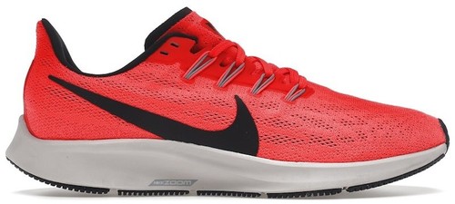 Nike Zoom Pegasus Turbo 2 AT2863-600 Men