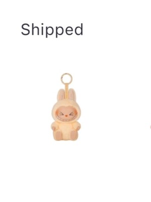 ⭐️ちぃ⭐️ 【正規品・未開封】Labubu Have a seat6個 正規品・未開封】ラブブ ZIZI have a seat labubu ハブシ - メルカリ