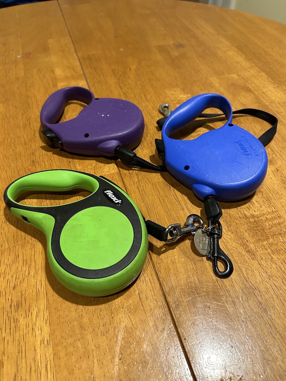 Lot Of 3 Flexi Brand Retractable Dog Leashes eBay