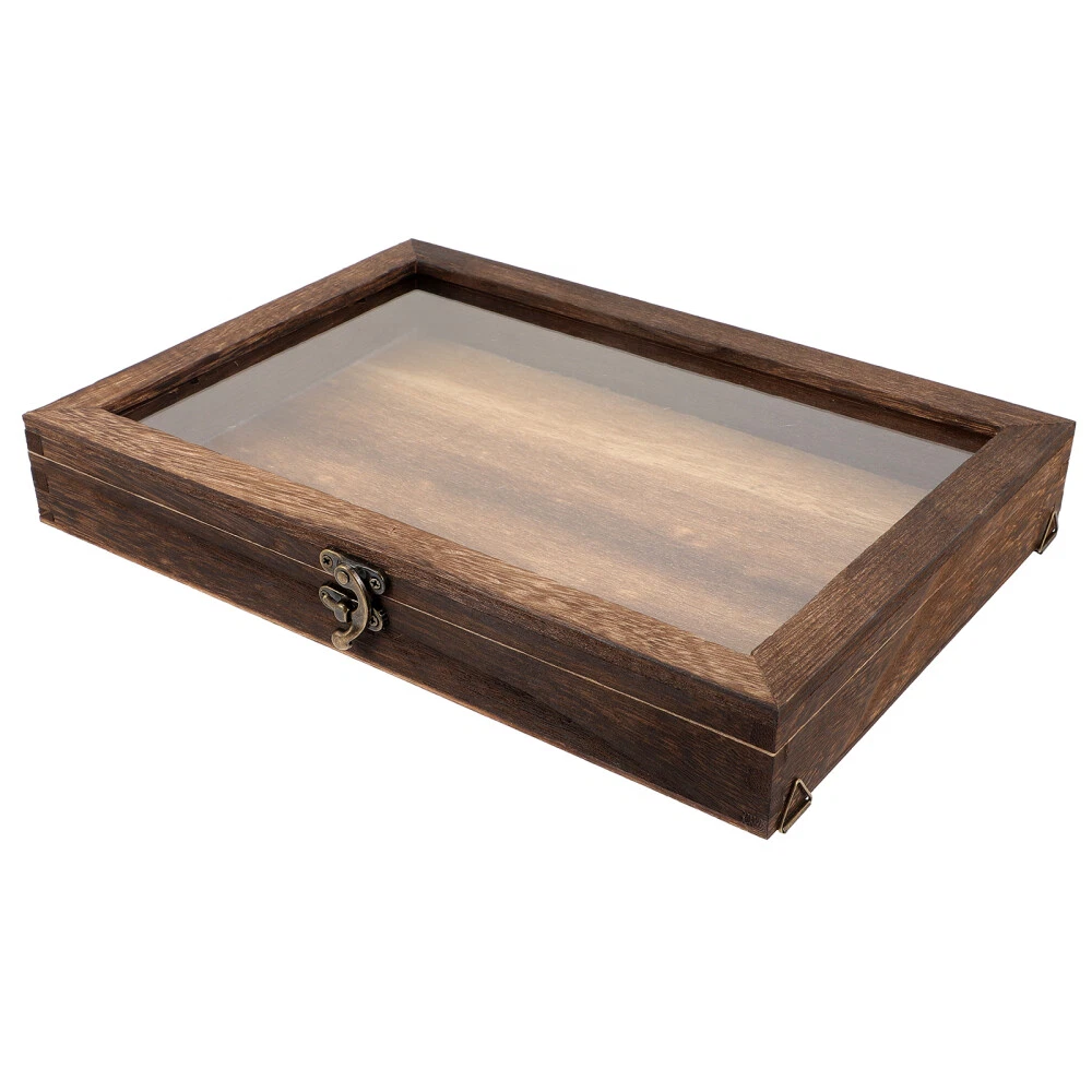 Vintage Specimen Box Wooden Jewelry Display Case Glass Cabinet eBay