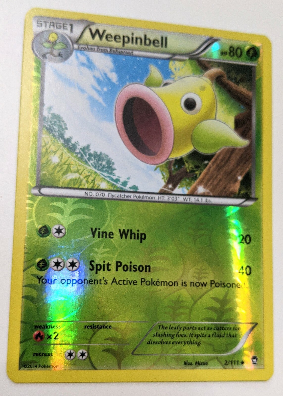 Pokemon WEEPINBELL 2/111 - XY Furious Fists Rev Holo MINT!