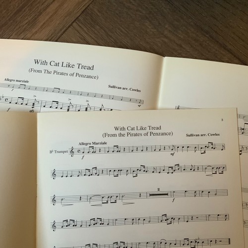 Ten Easy Tunes for Bb Trumpet & Piano by Colin Cowles incl Piano Accompaniment - Picture 5 of 5