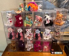 19 Piece TY Beanie Baby Collection in Cases