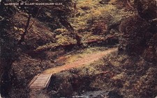 Bridge Of Allan Cocksburn Glen Scotland Postcard c1918