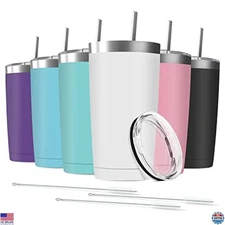 6 Pack 20 oz Insulated Stainless Steel Tumblers with Straws & Lids, Assorted