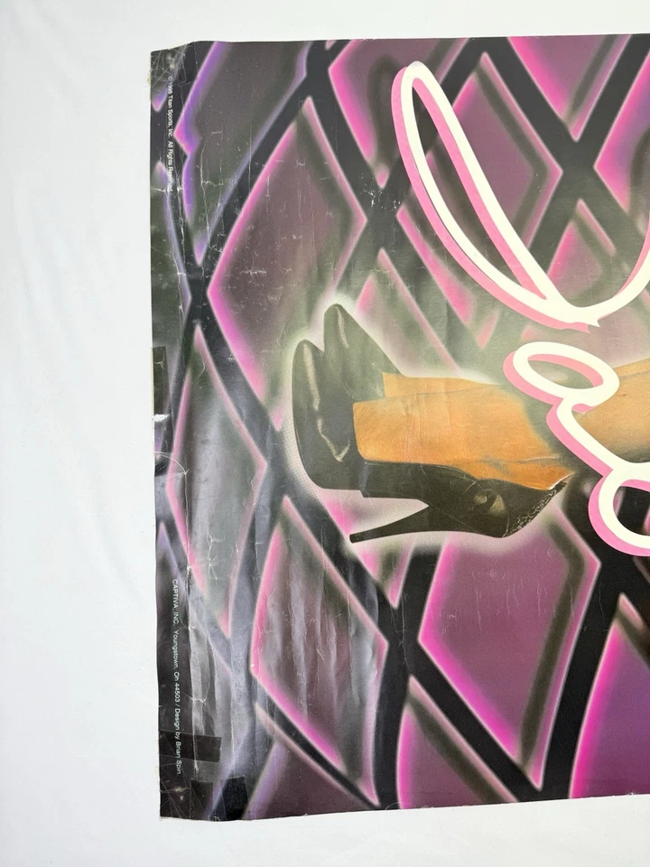 De colección 1998 WWF SABLE PARED BANNER VINILO GRANDE RARO Lucha libre WWE De colección Foto 4 de 4