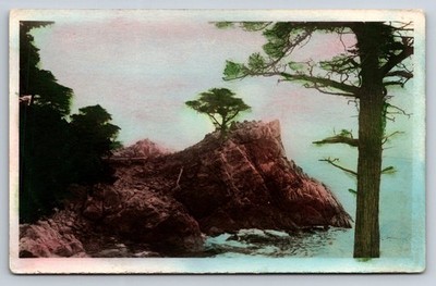Vintage AZO Real Photo Postcard Lone Cypress Monterey California Pebble Beach