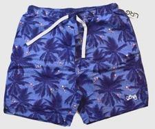 Lifted Research Group Mens Light Blue/Palm LRG Logo Casual Drawstring Shorts NWT