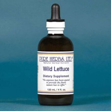Pure Herbs: Wild Lettuce - 4 oz.