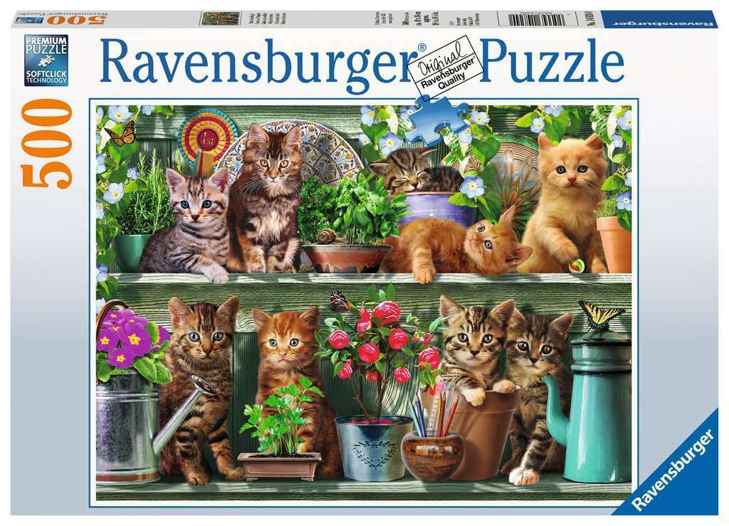 Cat Jigsaw Puzzle Online 