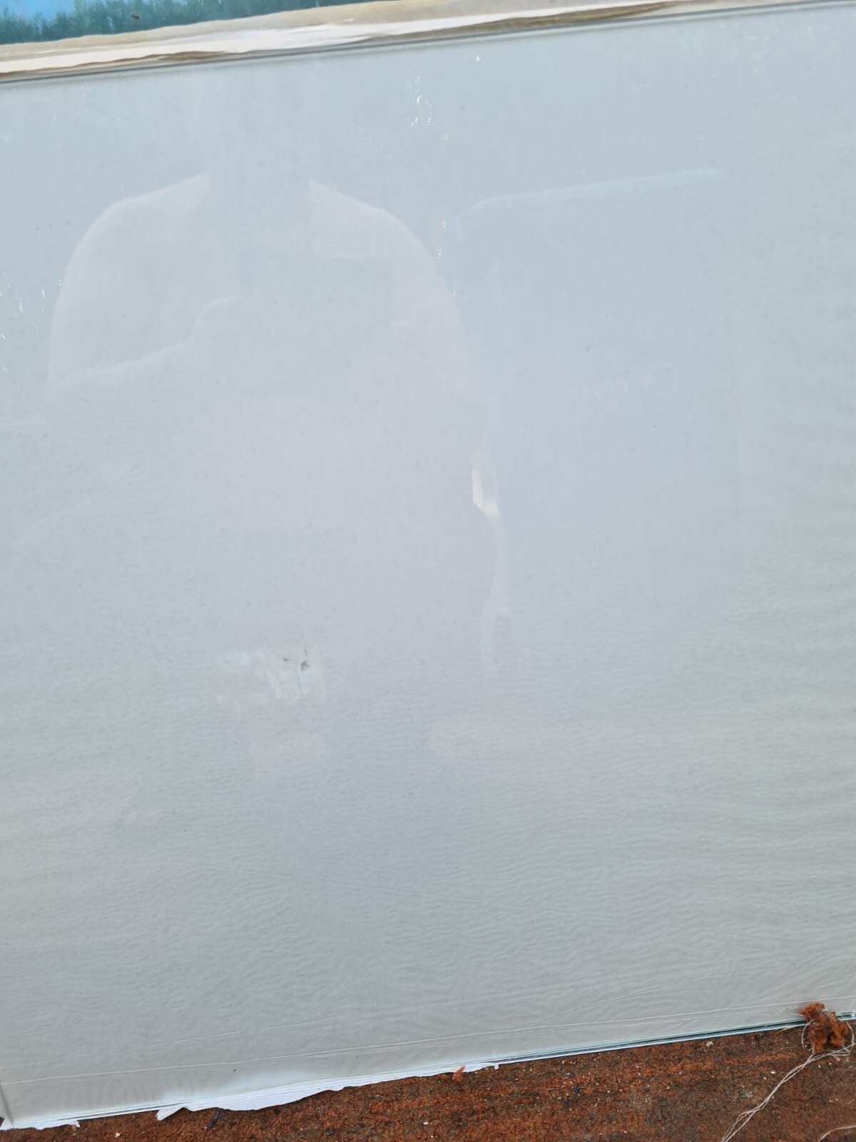 Greenhouse Glass eBay