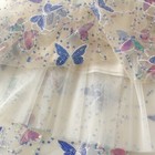 Foto 13 di 19
