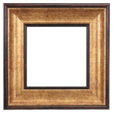 Frame for Canvas Painting, 10x10" Resin Canvas Floater Frames, Gold/Brown