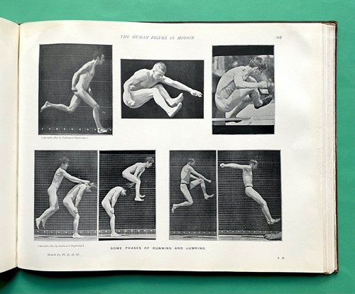 1901 - The Human Figure in Motion - EADWEARD MUYBRIDGE - Photography - RARE 1st - Picture 19 of 24