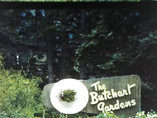 8mm Film Buchart Gardens 1950s British Columbia Home Movie Flowers Buildings