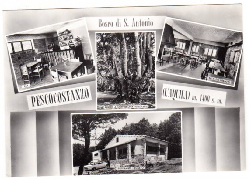 26-03990 - PESCOCOSTANZO AQUILA - 4 IMMAGINI BOSCO S.ANTONIO NON VIAGGIATA