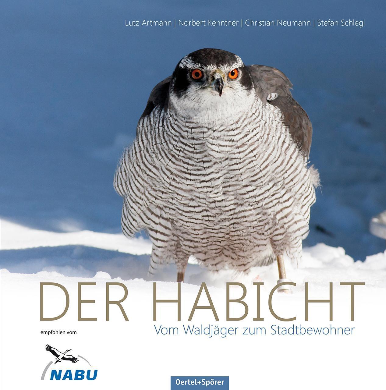 Thumbnail - Der Habicht, Lutz Artmann