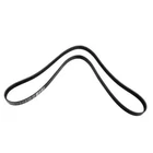 6PK1025 Belt AE
