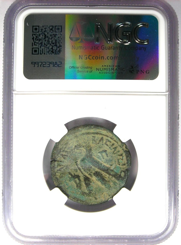 Cleopatra VII 80 Drachmae Diobol Coin 51-30 BC Kleopatra - Certified ...