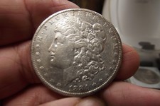 1884-P Morgan  Silver Dollar Solid XF Affordable