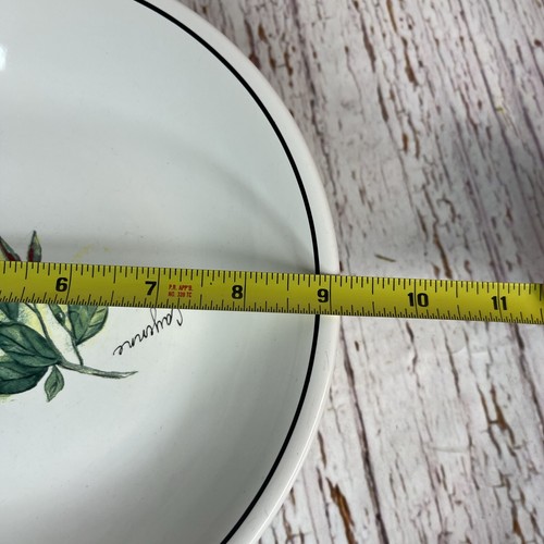 Williams-Sonoma Cayenne Individual Pasta Bowl 9 1/8” Made in Portugal - Afbeelding 9 van 9