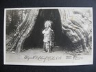 Canada photo postcard Native Chief White Elk, redwood tree, RPO cancel too!