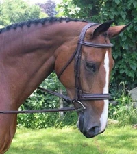 KL Select Black Oak Laurel Bridle