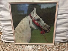 Quadro Cornice con Puzzle Cavallo Vintage 51x51cm