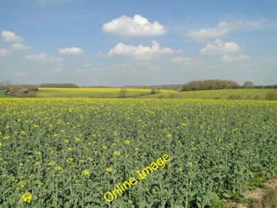 Foto 6x4 Acres und Acres Raps Bleichmittel grün \/TM2377 c2014