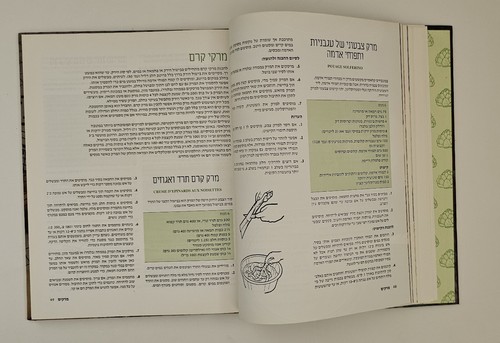 Libro de cocina kosher hebreo COCINA FRANCESA SIN CARNE por FAYE LEVY DE COLE... - Imagen 17 de 24