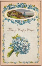 Many Happy Days~Bouquet of Forget Me Nots 1910 St. Paul Kansas Postcard D46