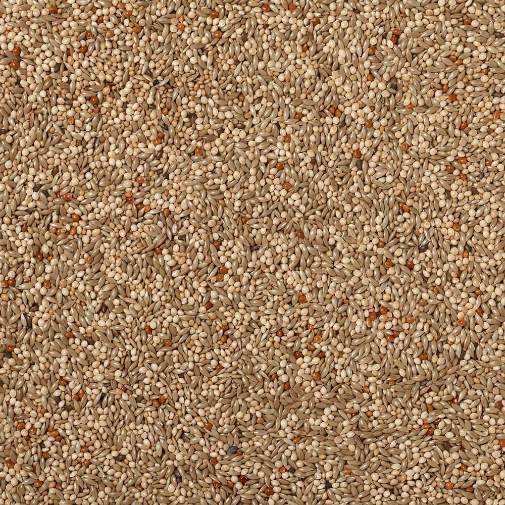 Johnston & Jeff Expert Budgie Lovebird Seed 3kg