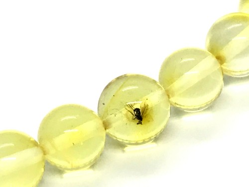 AMBER BRACELET Insect Inclusion Round Beads Unique Gift Ladies Jewelry 5g 13207 - 第 4/12 張圖片