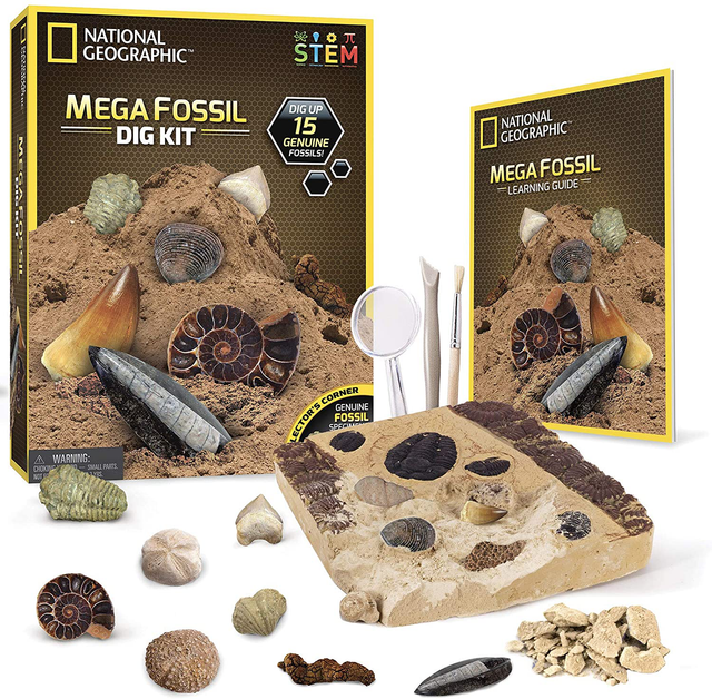 National Geographic Mega Fossil Dig Kit â Excavate 15 Real Fossils Including D for sale online