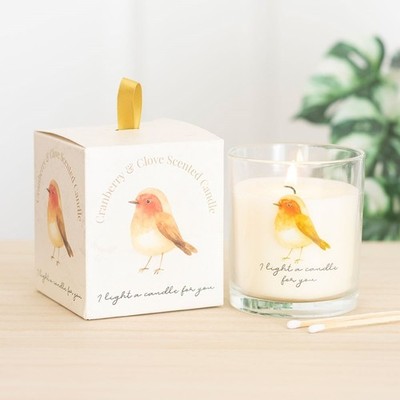 Robin Remembrance Cranberry & Clove Duftkerze aus Glas