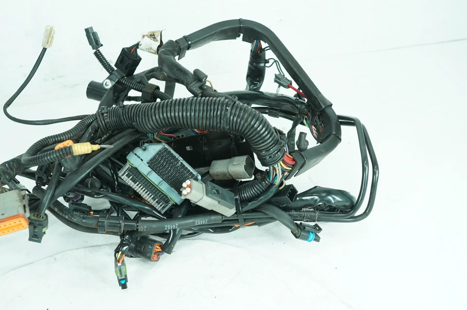 Harley Softail Fat Boy 2004 FLSTFI FABRICANTE DE EQUIPOS ORIGINALES CABLEADO PRINCIPAL ARNÉS TELAR EFI 70216 Foto 2 de 4