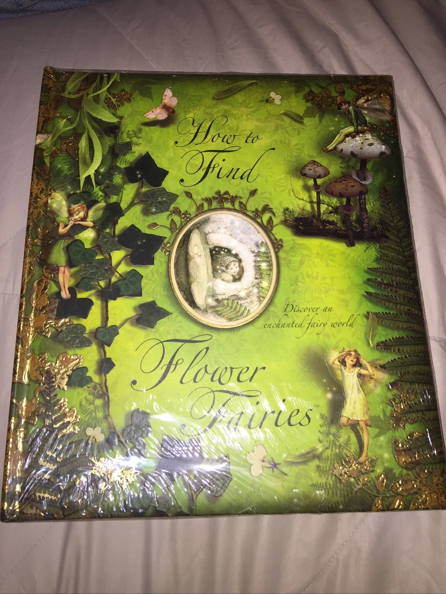 2022新商品 How to Find Flower Fairies 大型えほん しかけえほん 絵本