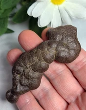 Large 3.1" 62g Prophecy Stone Z "Alien Ocean Life"  Egyptian 3rd Eye Meditation