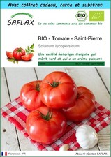 SAFLAX Kit cadeau - BIO - Tomate - Saint-Pierre - 15 graines - Solanum