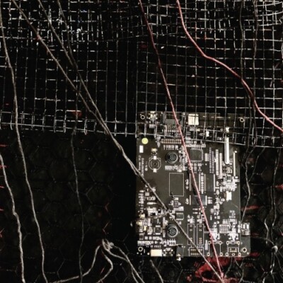 MERZBOW/PRURIENT Black Crows Cyborg LP NEW COLORED VINYL Hospital 